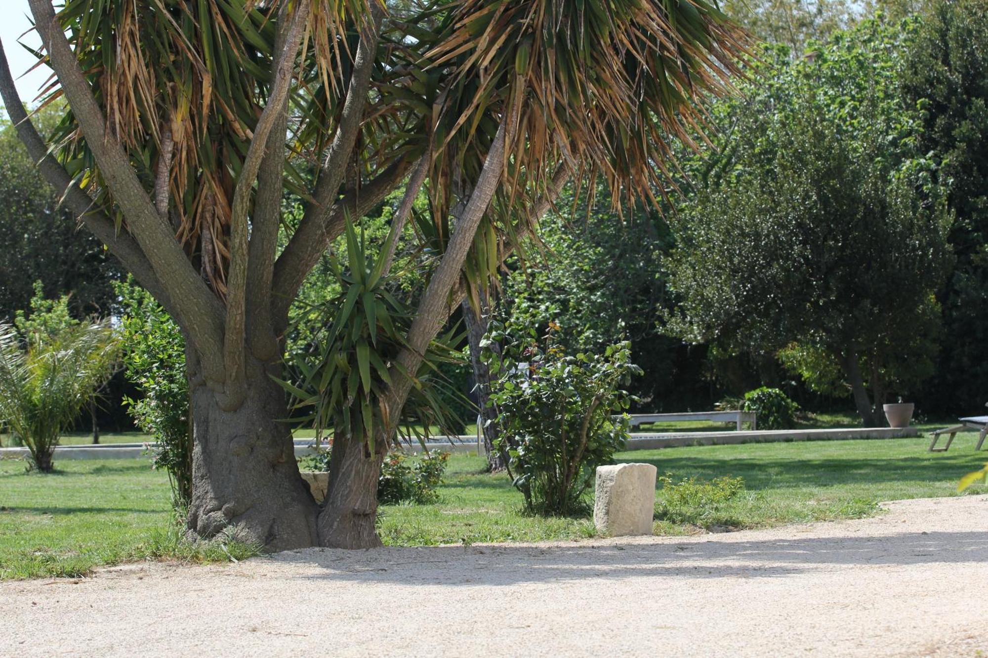 לינה וארוחת בוקר אלברון Mas De Bouvet En Camargue מראה חיצוני תמונה